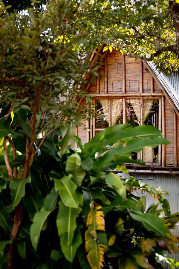 Chalet Ecoturismo La Nohelia Jericoc  Exterior foto