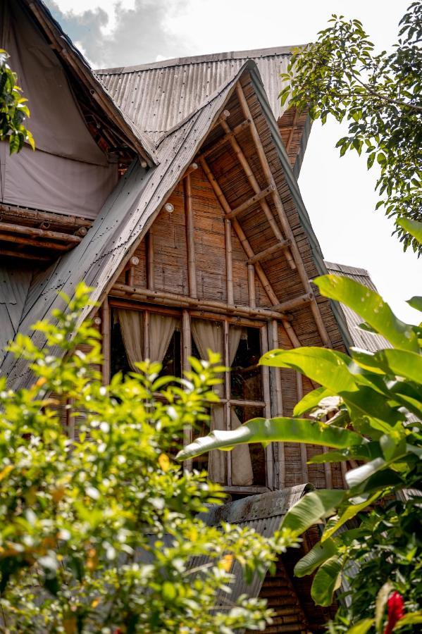 Chalet Ecoturismo La Nohelia Jericoc  Exterior foto